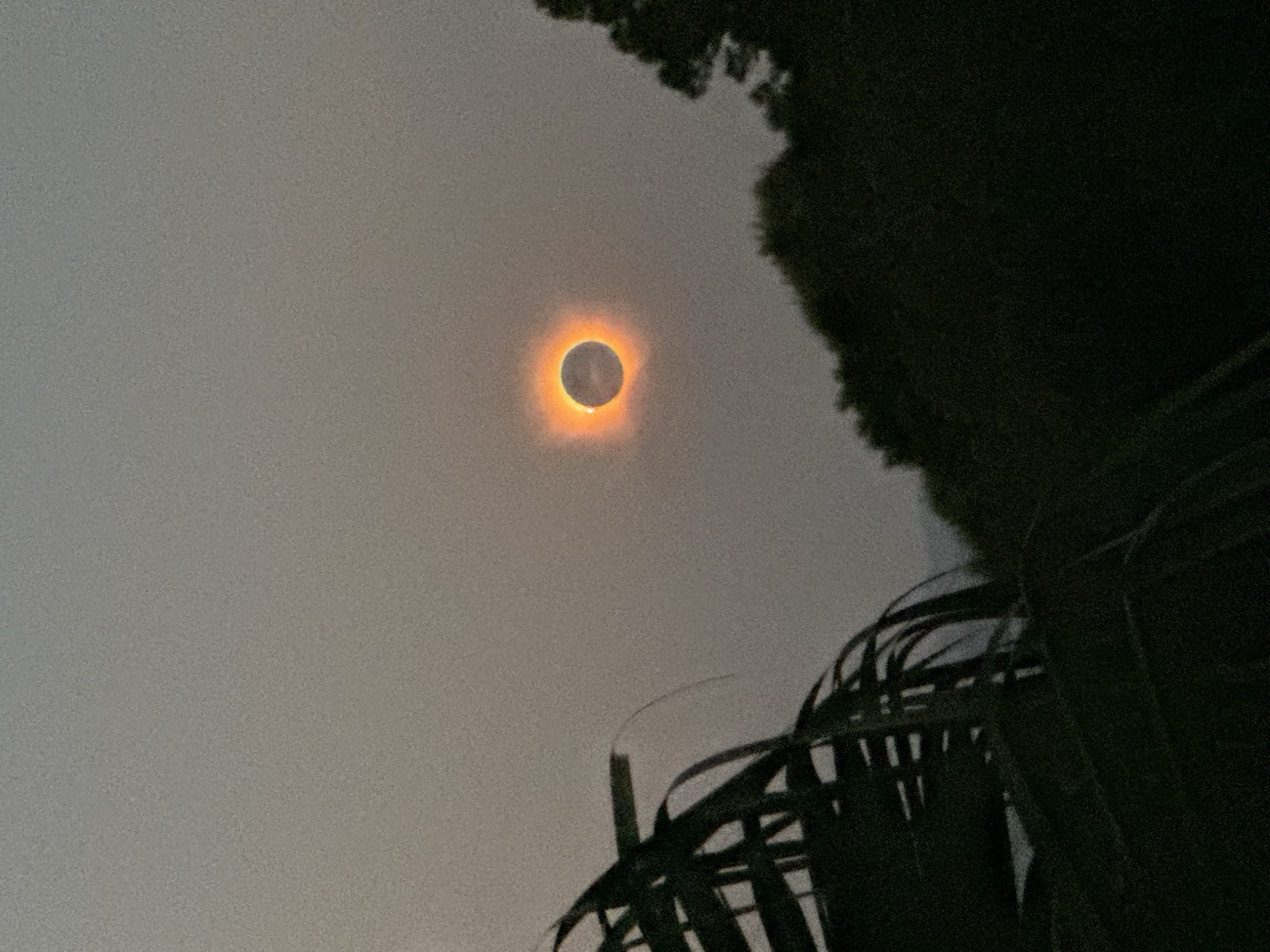 Nahaufnahme der Korona als orangefarbener Ring um die verdeckte Sonne während der Totalität